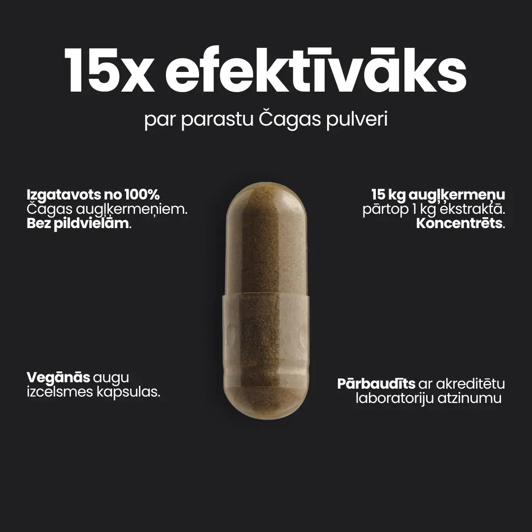 Čagas ekstrakts - 90 kapsulas