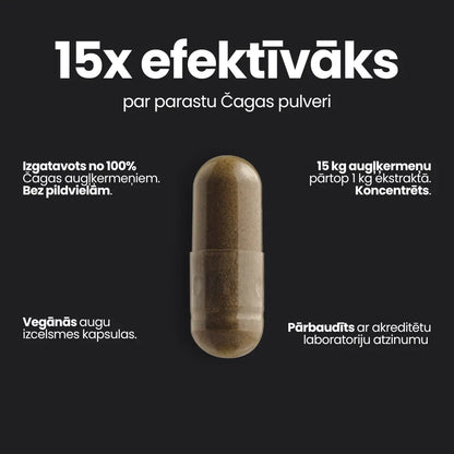 Čagas ekstrakts - 90 kapsulas